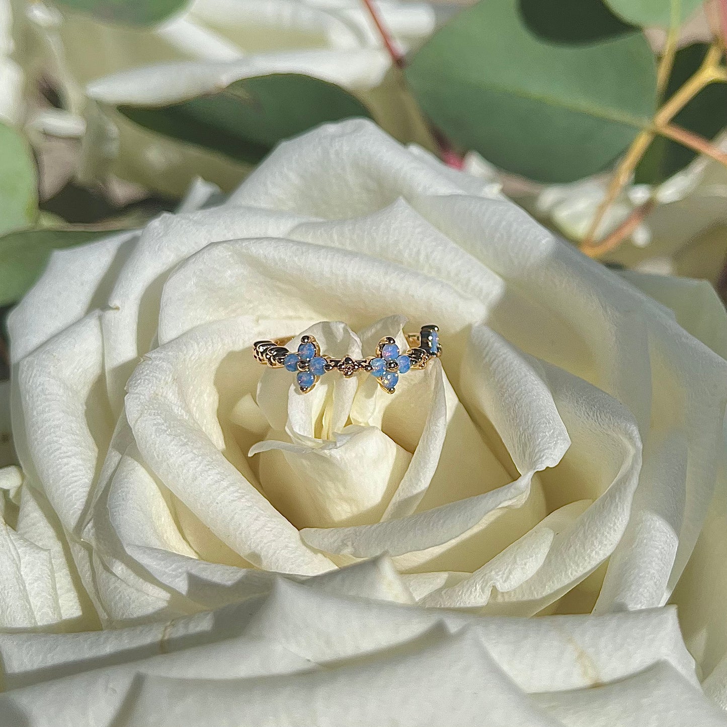 BLUE BLOSSOM